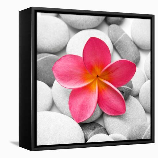 Zen Flower-null-Framed Stretched Canvas