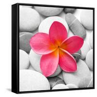 Zen Flower-null-Framed Stretched Canvas