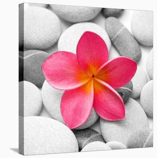 Zen Flower-null-Stretched Canvas