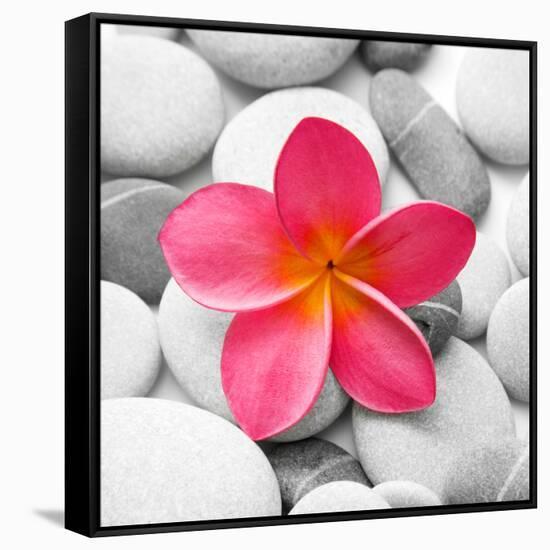 Zen Flower-null-Framed Stretched Canvas