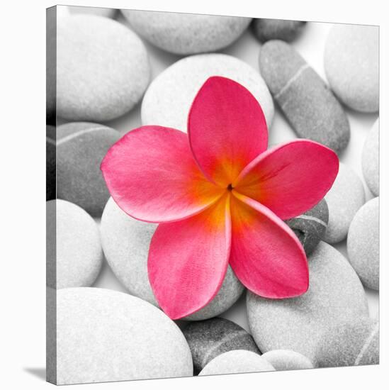 Zen Flower-null-Stretched Canvas