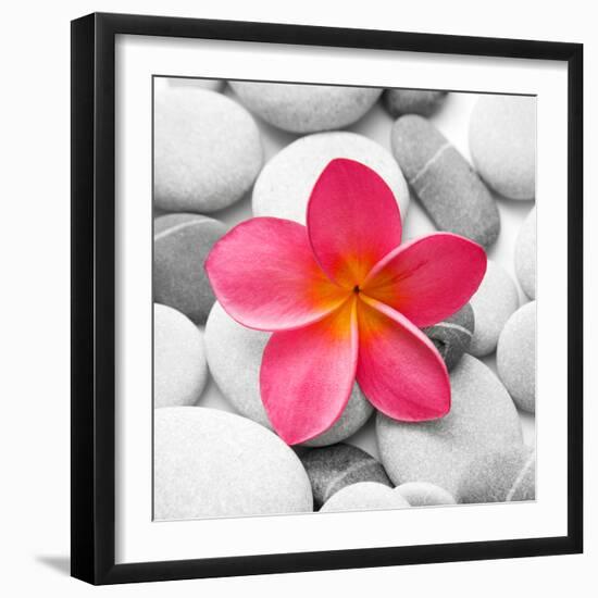 Zen Flower-null-Framed Premium Photographic Print
