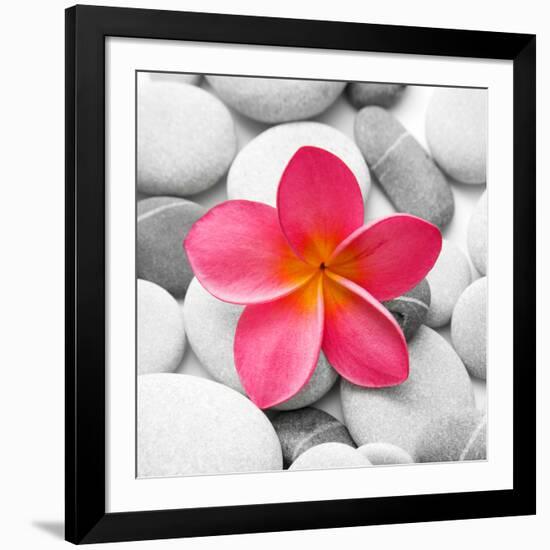 Zen Flower-null-Framed Photographic Print