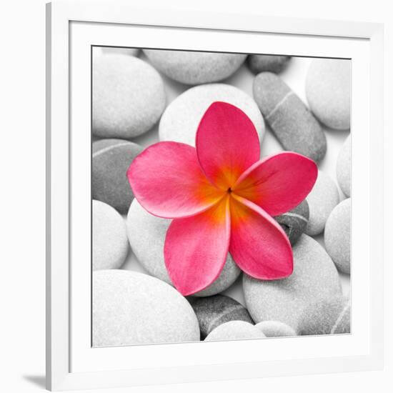 Zen Flower-null-Framed Photographic Print