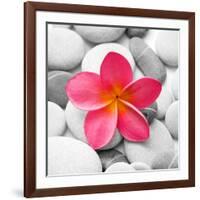 Zen Flower-null-Framed Photographic Print