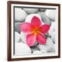 Zen Flower-null-Framed Photographic Print