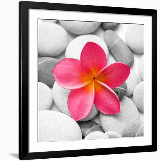 Zen Flower-null-Framed Photographic Print