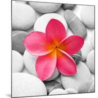 Zen Flower-null-Mounted Photographic Print