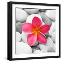 Zen Flower-null-Framed Photographic Print