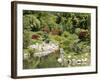 Zen Garden, Anduze, Gard, France, Europe-null-Framed Photographic Print