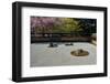 Zen Garden at Ryoan-Ji Temple-Rolf_52-Framed Photographic Print