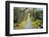 Zen Garden in Kyoto-Tupungato-Framed Photographic Print