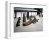 Zen Garden, Kyoto, Japan-Shin Terada-Framed Photographic Print