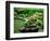 Zen Garden, Kyoto, Japan-Shin Terada-Framed Photographic Print