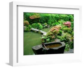 Zen Garden, Kyoto, Japan-Shin Terada-Framed Photographic Print