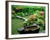 Zen Garden, Kyoto, Japan-Shin Terada-Framed Photographic Print