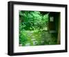 Zen Garden, Kyoto, Japan-Shin Terada-Framed Photographic Print