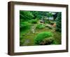 Zen Garden, Kyoto, Japan-Shin Terada-Framed Photographic Print