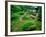 Zen Garden, Kyoto, Japan-Shin Terada-Framed Photographic Print