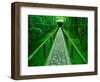 Zen Garden, Kyoto, Japan-Shin Terada-Framed Photographic Print