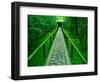 Zen Garden, Kyoto, Japan-Shin Terada-Framed Photographic Print