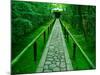 Zen Garden, Kyoto, Japan-Shin Terada-Mounted Photographic Print