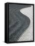 Zen Garden, Le Marais, Paris, France-Walter Bibikow-Framed Stretched Canvas