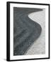 Zen Garden, Le Marais, Paris, France-Walter Bibikow-Framed Photographic Print