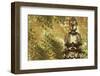 Zen Garden-Erin Clark-Framed Art Print