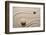 Zen Garden-og-vision-Framed Photographic Print