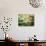 Zen Garden-Viviane Fedieu Daniel-Stretched Canvas displayed on a wall