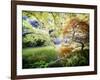 Zen Garden-Viviane Fedieu Daniel-Framed Photographic Print