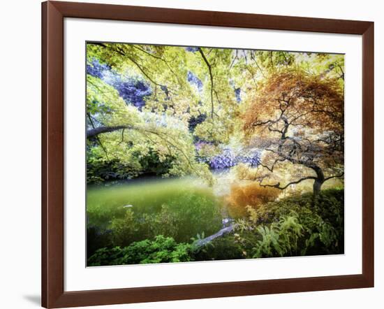 Zen Garden-Viviane Fedieu Daniel-Framed Photographic Print