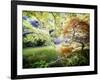 Zen Garden-Viviane Fedieu Daniel-Framed Photographic Print