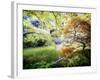 Zen Garden-Viviane Fedieu Daniel-Framed Photographic Print