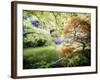 Zen Garden-Viviane Fedieu Daniel-Framed Photographic Print