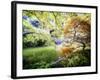 Zen Garden-Viviane Fedieu Daniel-Framed Photographic Print