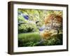 Zen Garden-Viviane Fedieu Daniel-Framed Photographic Print