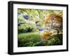 Zen Garden-Viviane Fedieu Daniel-Framed Photographic Print