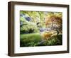 Zen Garden-Viviane Fedieu Daniel-Framed Photographic Print