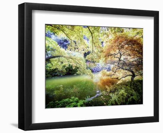 Zen Garden-Viviane Fedieu Daniel-Framed Photographic Print