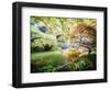 Zen Garden-Viviane Fedieu Daniel-Framed Photographic Print