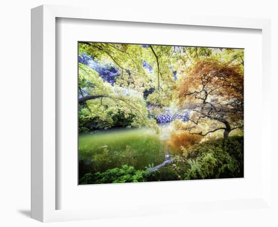 Zen Garden-Viviane Fedieu Daniel-Framed Photographic Print