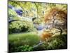 Zen Garden-Viviane Fedieu Daniel-Mounted Photographic Print