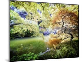 Zen Garden-Viviane Fedieu Daniel-Mounted Photographic Print