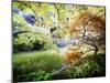 Zen Garden-Viviane Fedieu Daniel-Mounted Premium Photographic Print