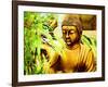 ZEN GARDEN-Ricki Mountain-Framed Art Print