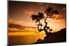 Zen is a Tree on the Cliff Rocks and Sunset over the Sea-Yarygin-Mounted Photographic Print