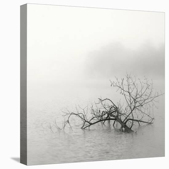 Zen Lake-Nicholas Bell-Stretched Canvas