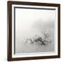 Zen Lake-Nicholas Bell-Framed Photographic Print